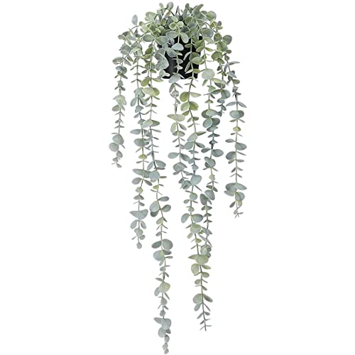 Aboiledy 1 Stück Künstliche Eukalyptus Hängepflanze, Efeu Künstlich Pflanzen, Kunstpflanze Hängend Eukalyptus Deko Schlafzimmer, Salbeigrün 63cm Lang, für Heim, Terrasse, Innen, Außenbereich von Aboiledy