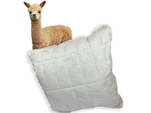 Abolengo de Alpaca Baisc Line AlpakaKopfkissen, mit temperaturregulierender Alpaka Wolle versteppt und gefüllt mit elastischen Faserkügelchen, für einen erholsamen Schlaf, 80x80cm, mittelfest Abolengo de Alpaca Baisc Line AlpakaKopfkissen, mit temperaturregulierender Alpaka Wolle versteppt und gefüllt mit elastischen Faserkügelchen, für einen erholsamen Schlaf, 80x80cm, mittelfest von Abolengo de Alpaca