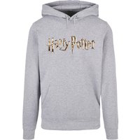 ABSOLUTE CULT Kapuzensweatshirt "ABSOLUTE CULT Herren Harry Potter - Colour Logo Basic Hoody", (1 tlg.) von Absolute Cult