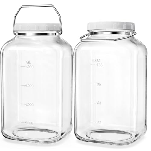 Absovetu 2er Set Einmachgläser mit Schraubdeckel 5,7 Liter - Vorratsgläser mit Deckel Luftdicht Mason Jar Fermentiergläser für Kimchi Kombucha Mehl Spaghetti Süßigkeiten Keksdose von Absovetu