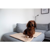 Hund Wollmix Settle Matte | Reisematte Haustier Roll Up Tragbares Hundebett Obstschale Katzenschlafmatte Absurdes Design von AbsurdDesign