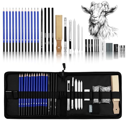 Absyrony Zeichenstifte, Bleistifte Set, Kohlestifte zum Zeichnen, Bleistift, Graphitstift, Sketching Stifte, Zeichensets, Skizzierstifte, Skizzenbleistift, mit Tasche, für Künstler, Erwachsene, Kinder Absyrony Zeichenstifte, Bleistifte Set, Kohlestifte zum Zeichnen, Bleistift, Graphitstift, Sketching Stifte, Zeichensets, Skizzierstifte, Skizzenbleistift, mit Tasche, für Künstler, Erwachsene, Kinder von Absyrony