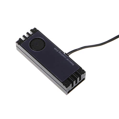 Abwan-Kühlkörper, M.2 Kühlung mit Lüftertemperatur OLED-Digitalanzeige M.2 NGFF 2280 Nano-Silikon-Wärmeleitpad-Kühlgebläse-Kühlkörper von Abwan