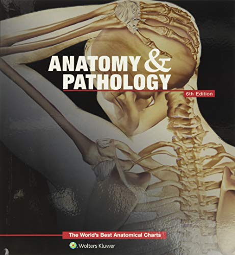 Anatomy & Pathology: The World's Best Anatomical Charts von Acc