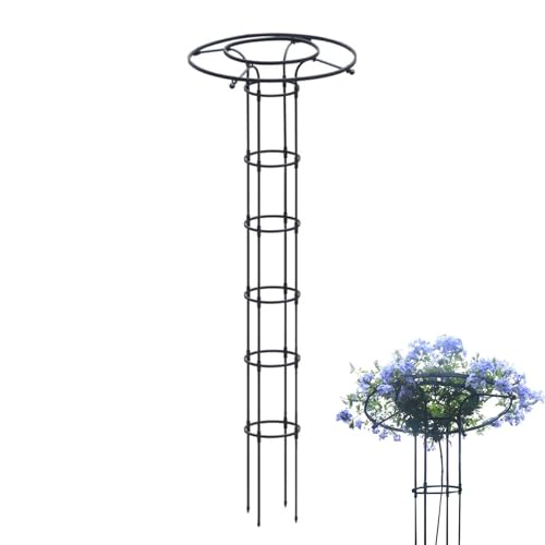 Aceirropy Rankhilfe Für Kletterpflanzen - Stützgerüst Für Rankpflanzen Im Garten,Garten Spalier Für Kletterpflanzen, Blumen & Ranken Im Außenbereich Aceirropy Rankhilfe Für Kletterpflanzen - Stützgerüst Für Rankpflanzen Im Garten,Garten Spalier Für Kletterpflanzen, Blumen & Ranken Im Außenbereich von Aceirropy