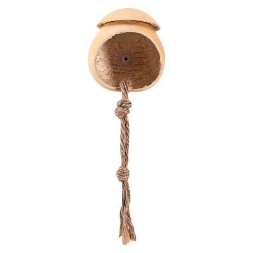 Aceirropy Spinnengehege | Handgefertigte Springspinne aus Holz | Echter Unterschlupf | Holz Reptilienzubehör mit Saugnapf Kürbisform Terrarium für Grillen Geckos Eidechsen Aceirropy Spinnengehege | Handgefertigte Springspinne aus Holz | Echter Unterschlupf | Holz Reptilienzubehör mit Saugnapf Kürbisform Terrarium für Grillen Geckos Eidechsen von Aceirropy