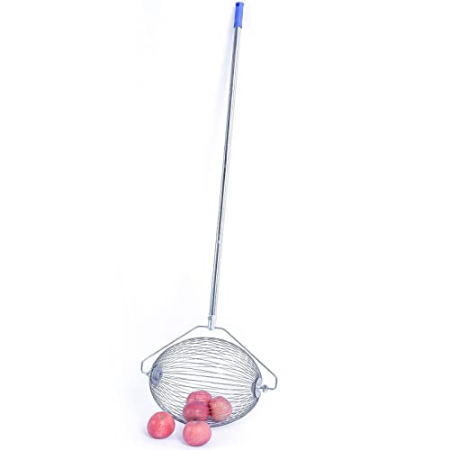 Acesunny Garten Picker Walnuss Sammler Nusssammler Rollen Obstsammler Rollsammler Garden Fallobstsammler Rollsammler Gartenpflücker Apfelsammler Edelstahl Acesunny Garten Picker Walnuss Sammler Nusssammler Rollen Obstsammler Rollsammler Garden Fallobstsammler Rollsammler Gartenpflücker Apfelsammler Edelstahl von Acesunny