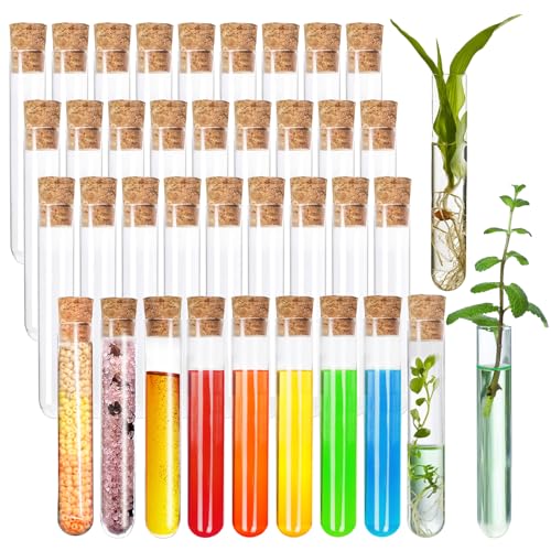 Acetiti 36 Stück Mini Glas Reagenzgläser mit Korken, 12x75mm Transparent Reagenzgläser Laboratorien Reagenzgläser für Blumen Hochzeits Süßigkeiten Badesalz Gastgeschenk Deko von Acetiti