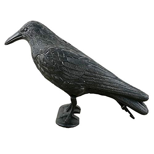 AchidistviQ Künstliche Krähe aus Kunststoff, Vogelschreck, Mäuse, Schädlingsbekämpfung, falsche Krähe schwarz AchidistviQ Künstliche Krähe aus Kunststoff, Vogelschreck, Mäuse, Schädlingsbekämpfung, falsche Krähe schwarz von AchidistviQ
