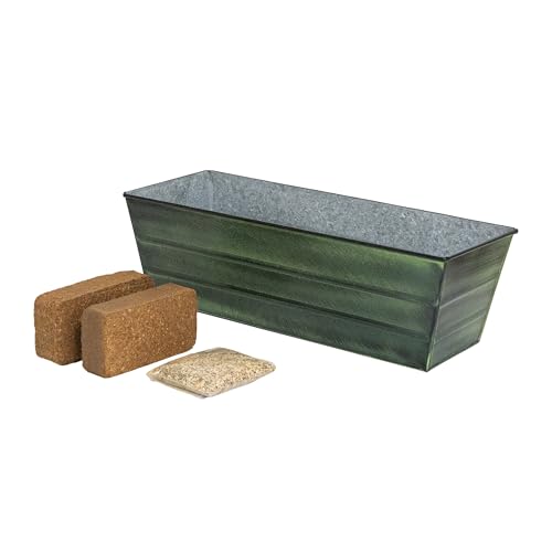 Bloom Box Garten-Anzuchtset, mittelgrün von Achla Designs