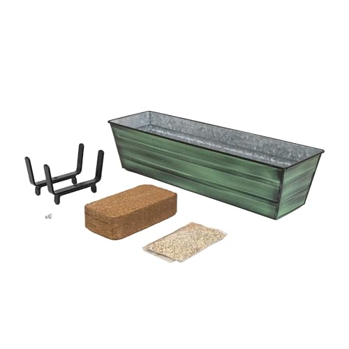 Bloom Box Garten Anzuchtset klein grün mit Halterungen für 2x4 Geländer Bloom Box Garten Anzuchtset klein grün mit Halterungen für 2x4 Geländer von Achla Designs