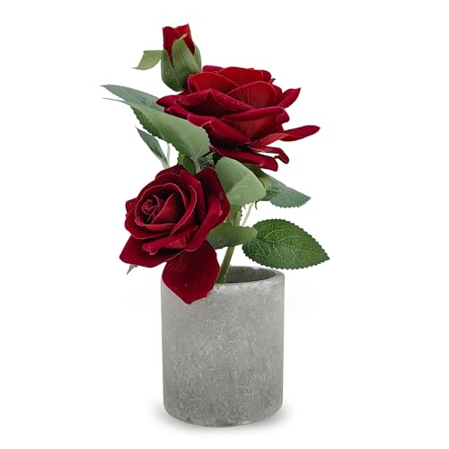 Acihety Künstliche Pflanzen kunstblumen Rosen– Kunstblumen wie echt im Topf, 25 cm, 3 Blütenköpfe, künstliche Blumen für Innen und Außen, in Weiß, Dunkelrot oder Rot von Acihety