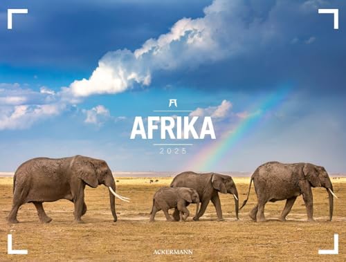 Afrika - Ackermann Gallery Kalender 2025, Wandkalender im Querformat (66x50 cm) - Großformat-Kalender / Hochwertiger Panorama-Kalender Tiere und Natur von Ackermann Kunstverlag
