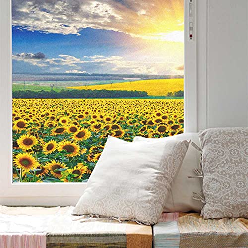 Fensterfolie Sichtschutz Sonnenblumen Sunraise Dekorative Folie Statische Klebefensterverkleidungen Wärmeschutzglasaufkleber für Badezimmer / Schlafzimmer Pattern A W17.7 x H37.4(45x95cm) von Acmore
