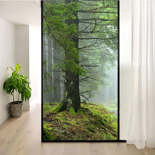 Acmore Statisch haftende Fensterfolie, Sichtschutz, Wärmeregulierung, Anti-UV-Schutz, Fensteraufkleber, natürliche Landschaft, Wald, 2 dekorative mattierte Fensterfolie, 120 x 200 cm (B x H) von Acmore