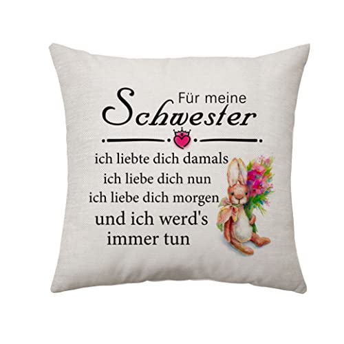 Schwestergeschenke von Schwester Zierkissenbezüge Geburtstagsgeschenke für Schwester Langstreckengeschenke für Schwester Kissenbezüge 45 x 45 cm von Aconesong