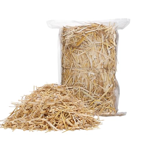 Natürliches Weizenstroh - 0,9 kg Trockenstroh, sauberer und weicher dekorativer Strohballen für streunende Katzen, Hunde, Hof, Haustiere, Garten, Mulch, Grasabdeckung Natürliches Weizenstroh - 0,9 kg Trockenstroh, sauberer und weicher dekorativer Strohballen für streunende Katzen, Hunde, Hof, Haustiere, Garten, Mulch, Grasabdeckung von Acostop