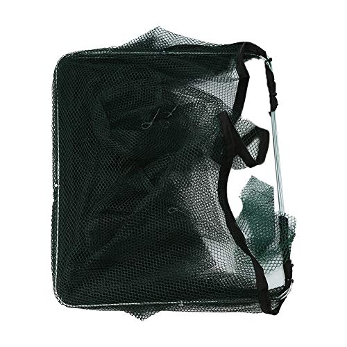 Acouto 12 Löcher Automatische Fischerei -Net -Garnelen Nylon Faltbar Krabbenfischfalle Gussfischerei Potfishing Trap Netcrab Minnow Crawdad Cagefishing Gearfellable Nylon Fischereinetz (12 Löcher) von Acouto