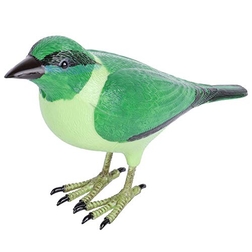 Acouto Niedliche Türklingel in Vogelform mit Kabelloser Fernbedienung, Helle Farbe und Umweltfreundlich, Imitiert Singende Vögel für eine Einfache Installation von Acouto