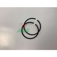 Paar original Active Freischneider Kolbenringe Modelle 2.8 - 2.9 22489 von Active