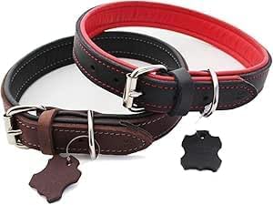 Activity4Dogs Luxus Hundehalsband aus Leder | für (mittel) große Hunde | 2,5 cm breit | gepolstert | 5-Fach verstellbar | Made in Germany | Echt-Leder Größe M2 braun-schwarz von Activity4Dogs