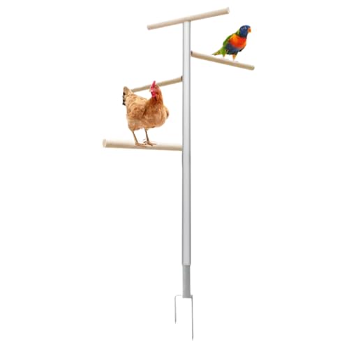 Acunny Hühnerstange Für Den Stall - Klettergestell Für Geflügel,Leichtes 4-Etagen Klettergestell Für Außenbereich, Garten, Rasen & Geflügelhaltung Acunny Hühnerstange Für Den Stall - Klettergestell Für Geflügel,Leichtes 4-Etagen Klettergestell Für Außenbereich, Garten, Rasen & Geflügelhaltung von Acunny