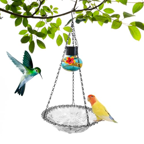 Acunny Vogeltränke für den Außenbereich | Vogelbrunnen, Tränke, Vogelbrunnen, wetterfest, für Garten, Terrasse, , Baum, Balkon Acunny Vogeltränke für den Außenbereich | Vogelbrunnen, Tränke, Vogelbrunnen, wetterfest, für Garten, Terrasse, , Baum, Balkon von Acunny