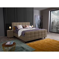 alina Boxspringbett "Dory", inklusive Matratze und Topper, mit Fußteil alina Boxspringbett "Dory", inklusive Matratze und Topper, mit Fußteil von Alina