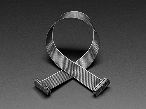 Adafruit 4170 GPIO Flachbandkabel 2x8 IDC Kabel – 16 Pins 30,5 cm lang von Adafruit