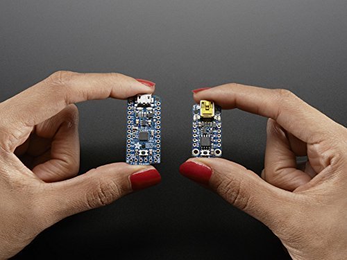 Adafruit (PID 2010 Pro Trinket - 3 V 12 MHz von Adafruit