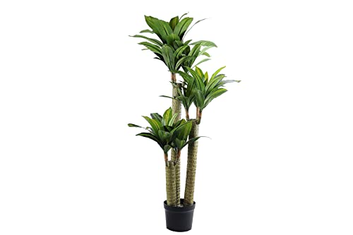 Adda Home Yuca-Baum mit Blumentopf, 63 x 63 x 150 cm von Adda Home