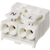 Adels-Contact 21714 LK 980-01/2B Leuchtenklemme flexibel: -2.5mm² starr: -2.5mm² Polzahl (num): 2 Adels-Contact 21714 LK 980-01/2B Leuchtenklemme flexibel: -2.5mm² starr: -2.5mm² Polzahl (num): 2 von Adels-Contact