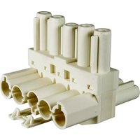 Adels-Contact 167155 T-Verteiler T-Verteiler Gesamtpolzahl: 5 + PE 20A Weiß 100St. von Adels-Contact