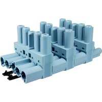 Adels-Contact 18091 T-Verteiler T-Verteiler Gesamtpolzahl: 5 + PE 20A Pastell-Blau 50St. von Adels-Contact