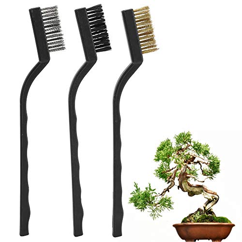 3pcs Stahlbristle Drahtbinsel Set mit ergonomischem Plastikgriff für Baumstammreinigung Bonsai Wartung Gartenwerkzeuge Haltbar rostfeste 17 cm Länge 3pcs Stahlbristle Drahtbinsel Set mit ergonomischem Plastikgriff für Baumstammreinigung Bonsai Wartung Gartenwerkzeuge Haltbar rostfeste 17 cm Länge von Adfaga