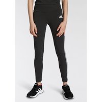 adidas Sportswear Leggings "3-STREIFEN COTTON TIGHT", (1 tlg.) von Adidas Sportswear