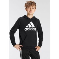 adidas Sportswear Kapuzensweatshirt "BIG LOGO ESSENTIALS COTTON HOODIE" von Adidas Sportswear