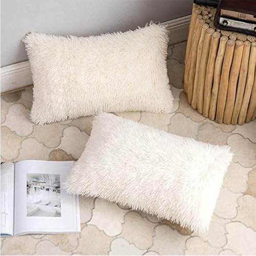 AdirHome 2er Set Kissenbezüge 50x70 cm Plüschkissen Kuschelig Couchkissen Superweich Kissen Flauschig Kissenbezug für Sofa Dekokissen Garten Outdoor Kissen (White,50 * 70 cm) von AdirHome