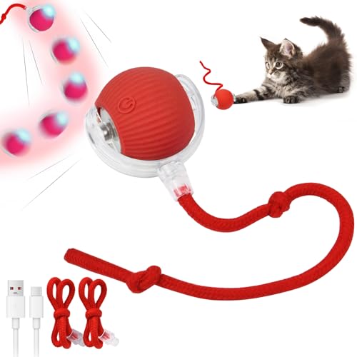 Adiwo Interaktives Katzenspielzeug, Interaktiver Spielball mit Schwanz für Katzen, Intelligentes Katzenspielzeug Wiederaufladbar über USB, Interaktives Katzen- und Hundespielzeug Adiwo Interaktives Katzenspielzeug, Interaktiver Spielball mit Schwanz für Katzen, Intelligentes Katzenspielzeug Wiederaufladbar über USB, Interaktives Katzen- und Hundespielzeug von Adiwo