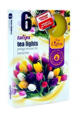 Admit Teelicht 6 Teelichter Duftkerzen Tulpe von Admit