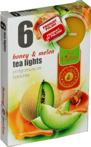 Teelicht 6 Teelichter Duftkerzen Honig & Melon von Admit