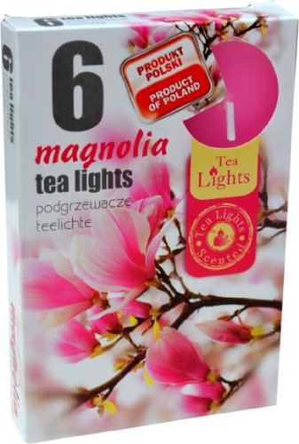 Teelicht 6 Teelichter Duftkerzen Magnolie von admit