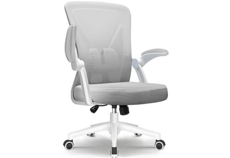 Adormii Bürostuhl Ergonomischer Bürostuhl,Schreibtischstuhl mit klappbaren Armlehnen (Drehstuhl 360° mit geräuscharmen Rollen und Lendenwirbelstütze,90°Verstellbarer Armlehnen,Höhenverstellbar,Atmungsaktiver Netzbezug,Sitzkissen mit Hochwertiger Schaumstoff,Bis 150 kg) von Adormii