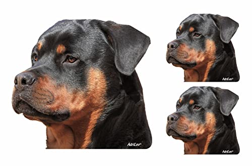 AdriLeo - Aufkleber 3er-Set - Rottweiler – Deko Autoaufkleber Sticker Hund AdriLeo - Aufkleber 3er-Set - Rottweiler – Deko Autoaufkleber Sticker Hund von AdriLeo
