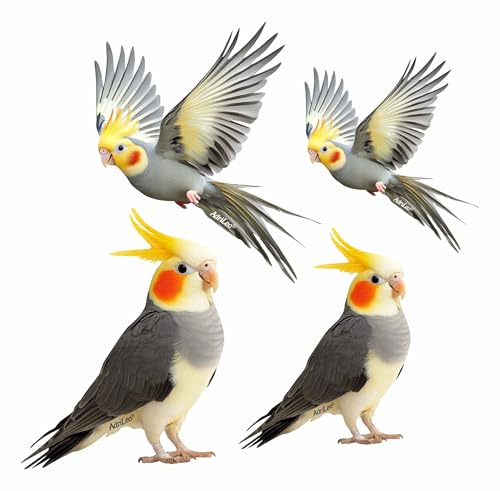 AdriLeo - Aufkleber 4er-Set – Nymphensittich - Deko Autoaufkleber Sticker Vogel Papagei von AdriLeo