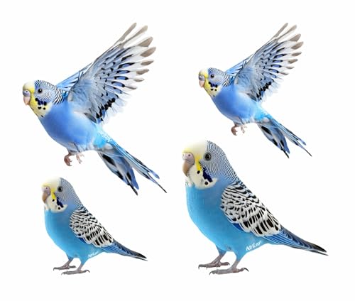 AdriLeo - Aufkleber 4er-Set – blauer Wellensittich - Deko Autoaufkleber Sticker Vogel Papagei von AdriLeo
