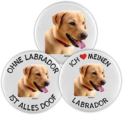 AdriLeo Kühlschrankmagnet - 3er Set – Blonder Labrador Retriever von AdriLeo
