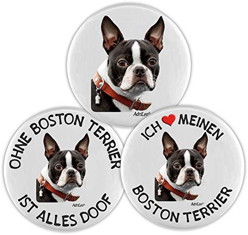 AdriLeo Kühlschrankmagnet - 3er Set - Boston Terrier von AdriLeo