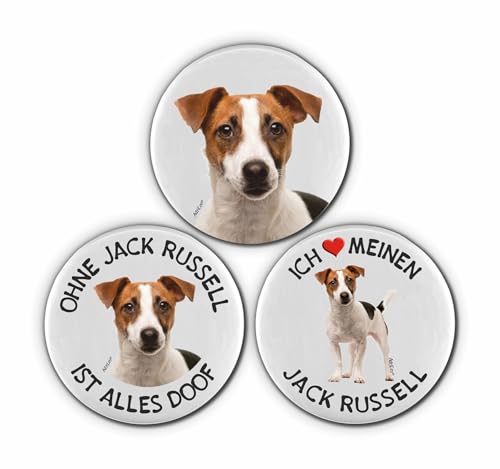 AdriLeo Kühlschrankmagnet - 3er Set - Jack Russell Terrier von AdriLeo