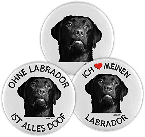 AdriLeo Kühlschrankmagnet - 3er Set - Schwarzer Labrador Retriever von AdriLeo